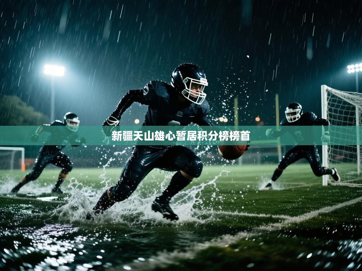 新疆天山雄心暂居积分榜榜首  第2张