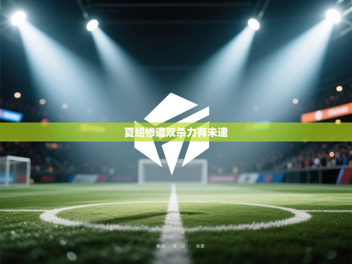 夏绍惨遭双杀力有未逮  第1张